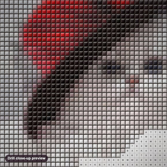 Close-up preview of the A Classy Cat diamond painting with square 5D drills and printed canvas symbols