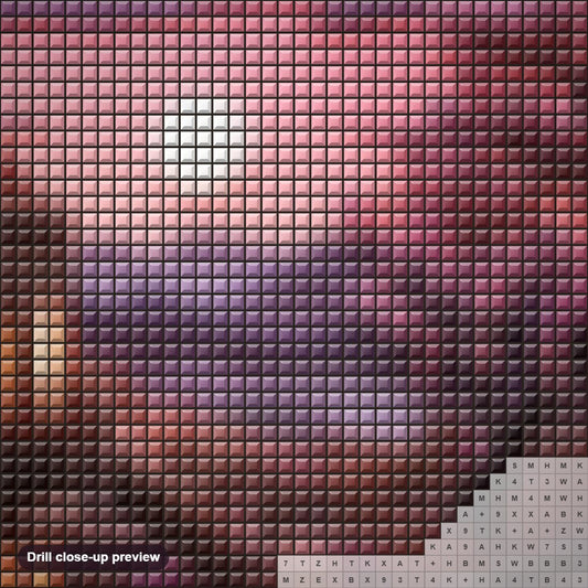 Close-up preview of the A Lively Sunset View diamond painting with square 5D drills and printed canvas symbols