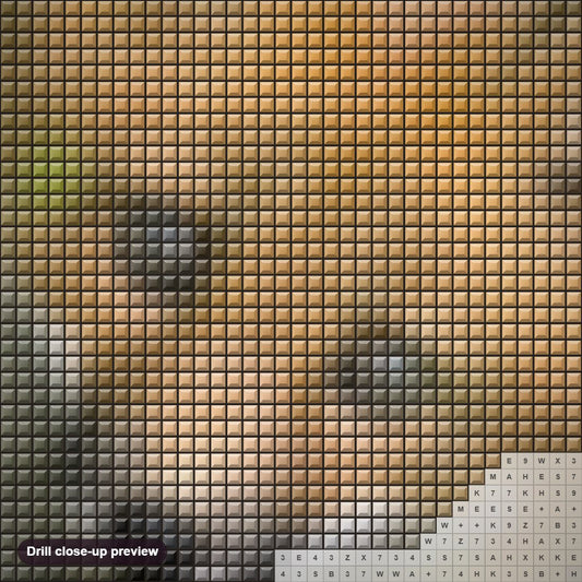 Close-up preview of the Adorable Fox diamond painting with square 5D drills and printed canvas symbols