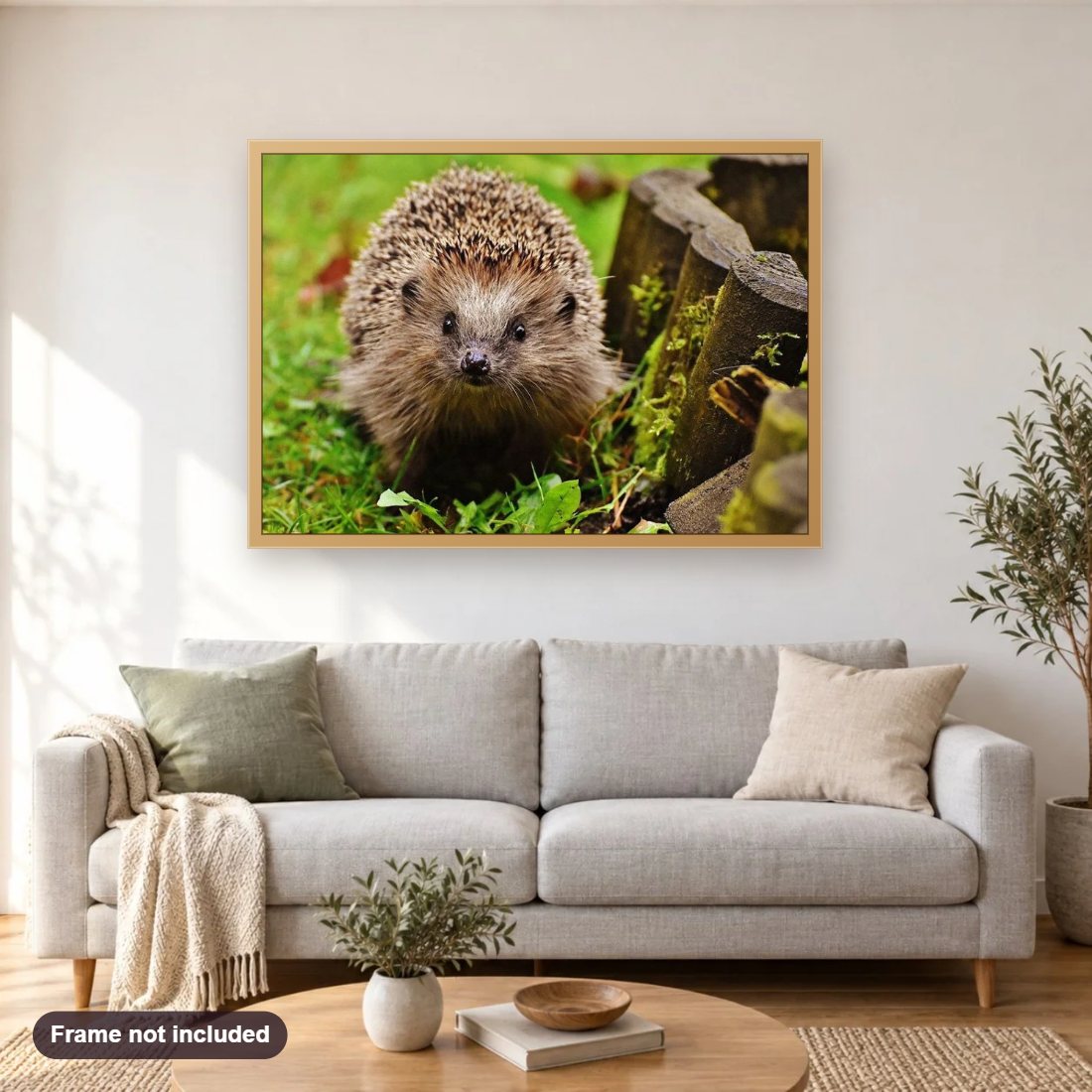 Adorable Hedgehog diamond painting shown framed on a living room wall above a sofa