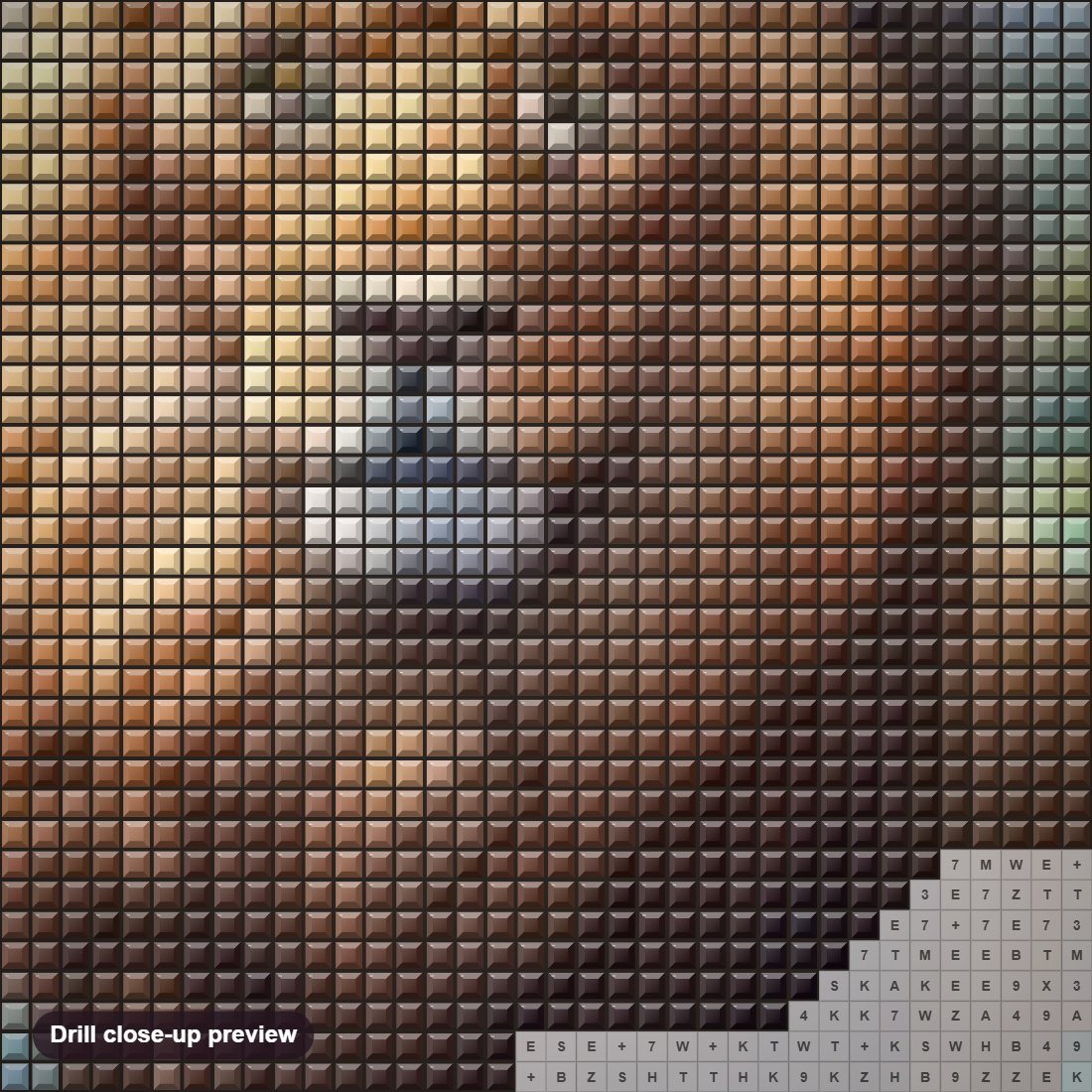 Close-up preview of the Adorable Lion diamond painting with square 5D drills and printed canvas symbols