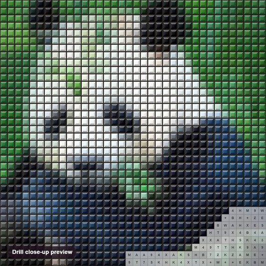 Close-up preview of the Adorable Panda diamond painting with square 5D drills and printed canvas symbols