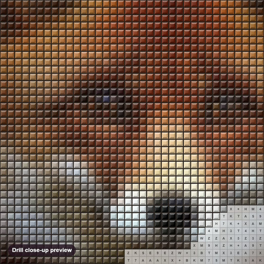 Close-up preview of the Adorable Red Fox diamond painting with square 5D drills and printed canvas symbols