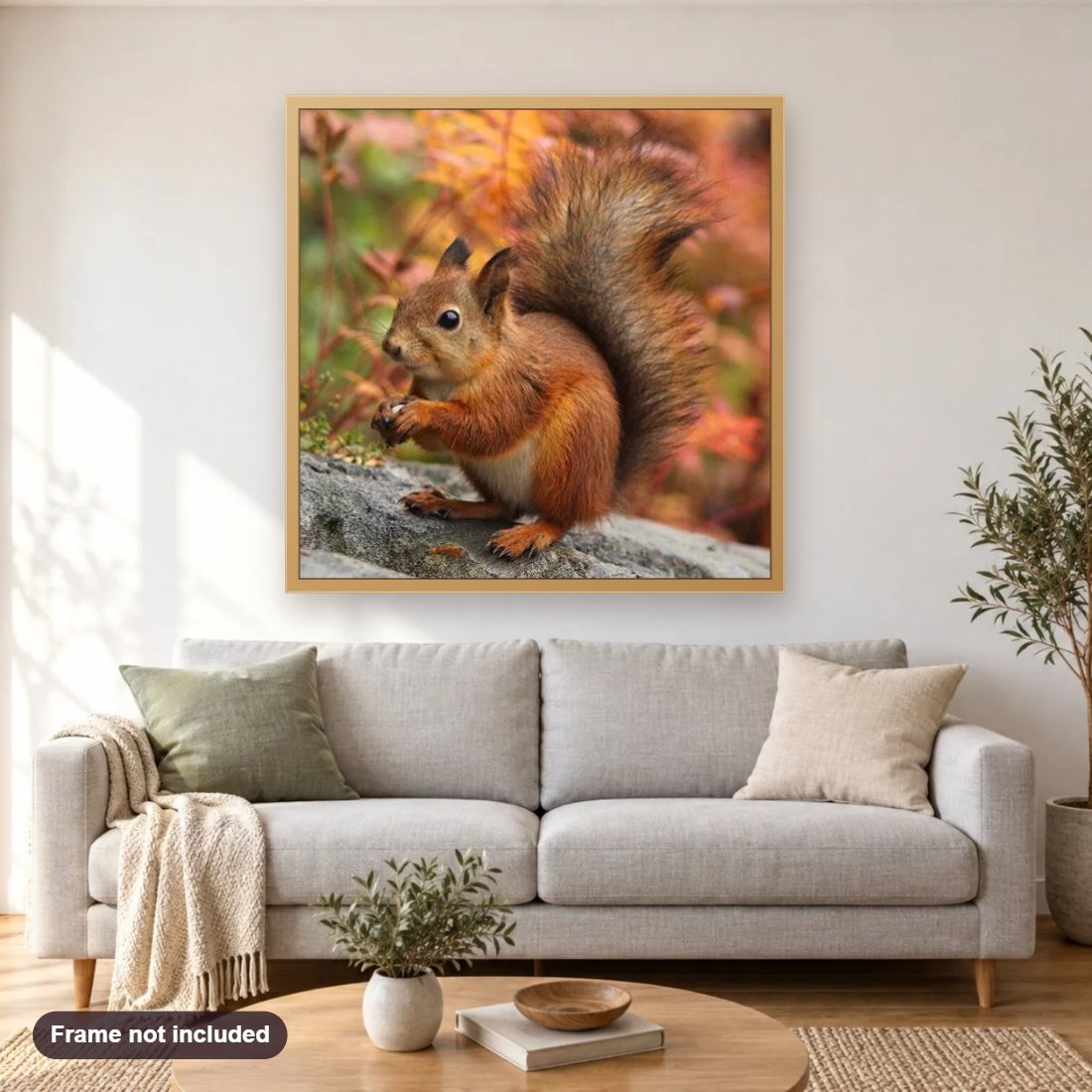 Adorable Squirrel diamond painting shown framed on a living room wall above a sofa