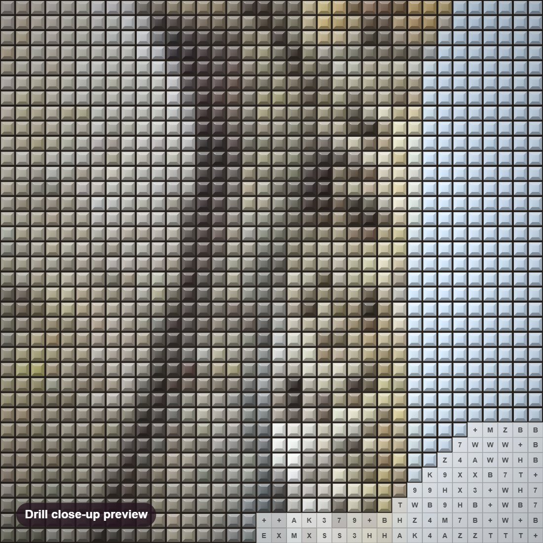 Close-up preview of the African Leopard diamond painting with square 5D drills and printed canvas symbols