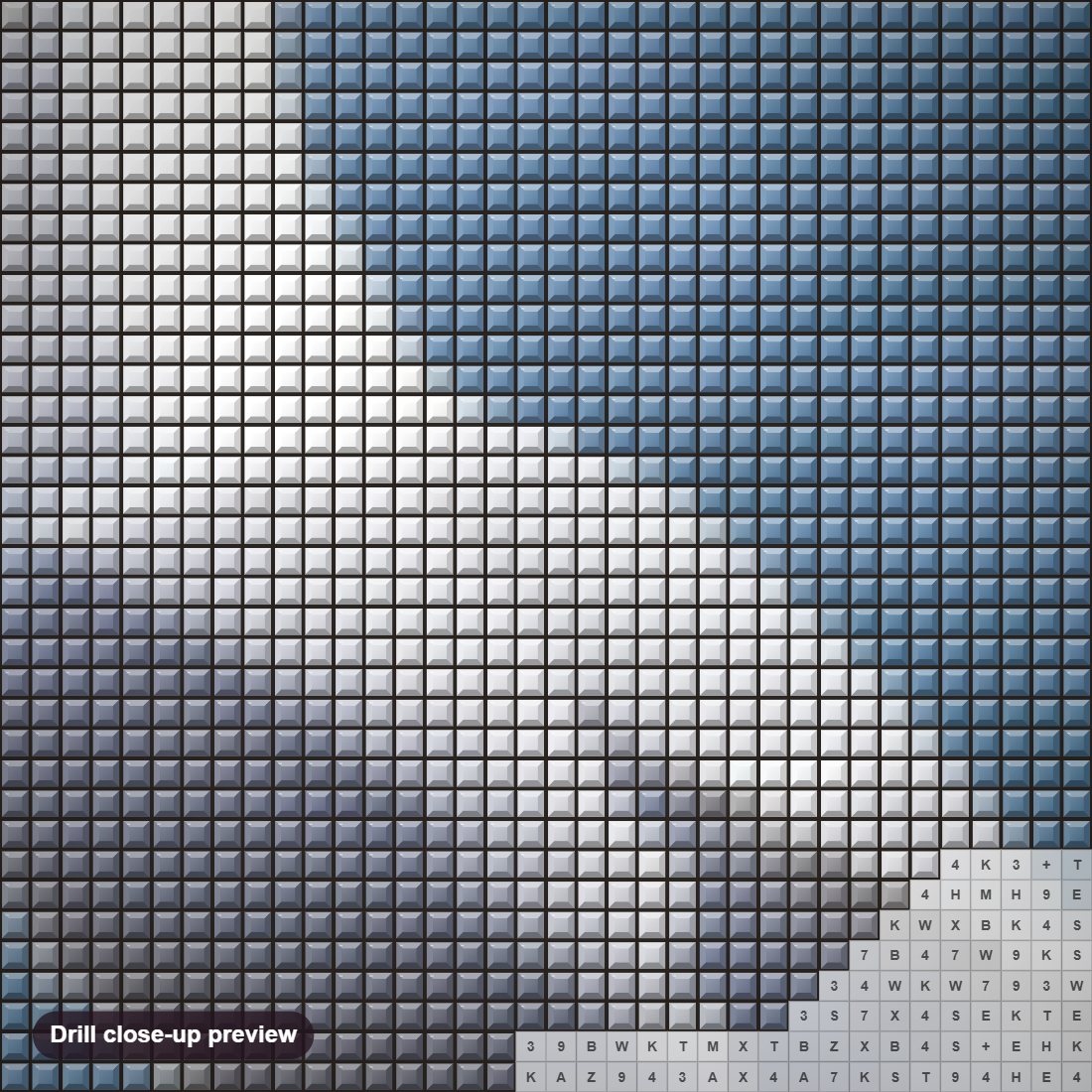 Close-up preview of the Albatross diamond painting with square 5D drills and printed canvas symbols