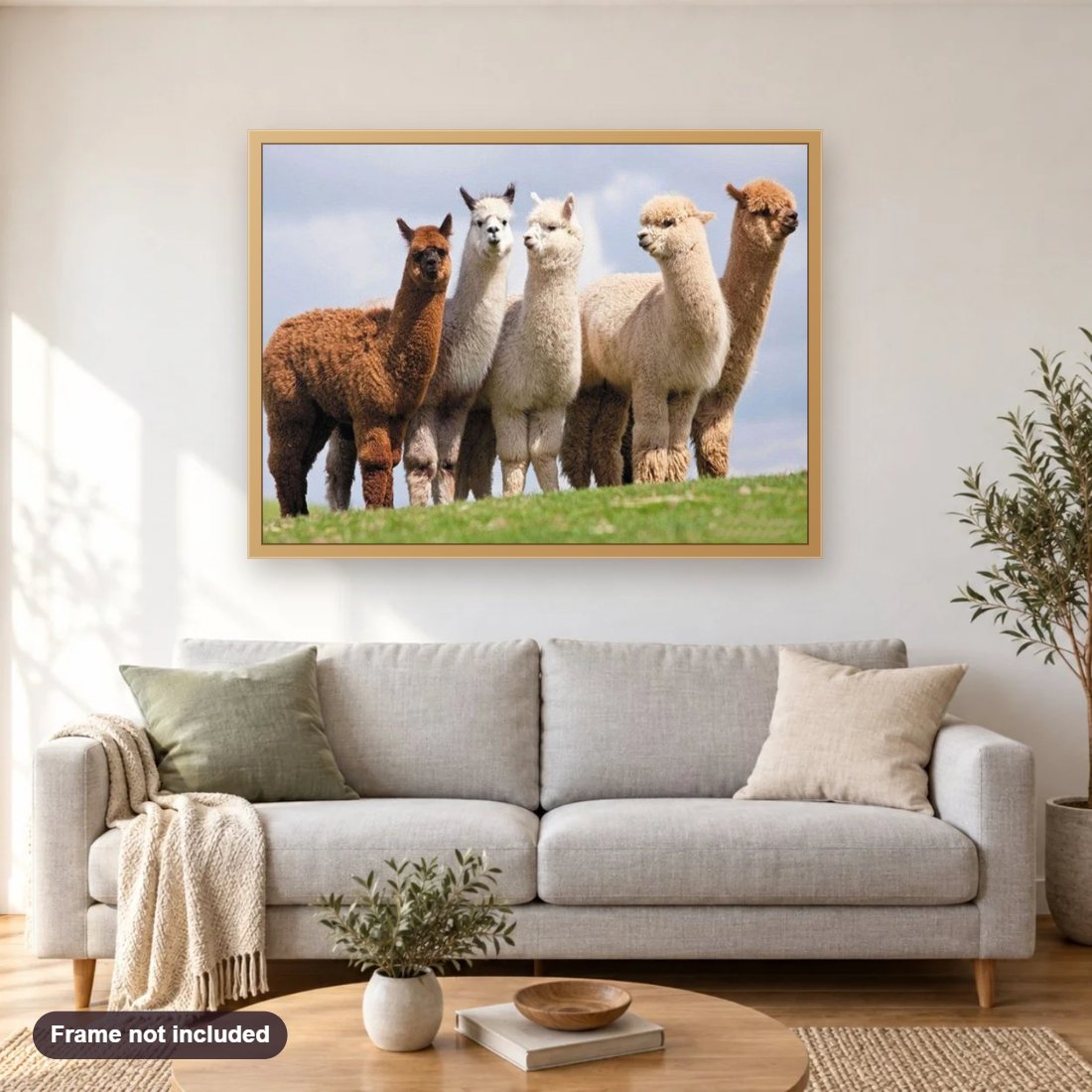 Alpacas & Llamas diamond painting shown framed on a living room wall above a sofa