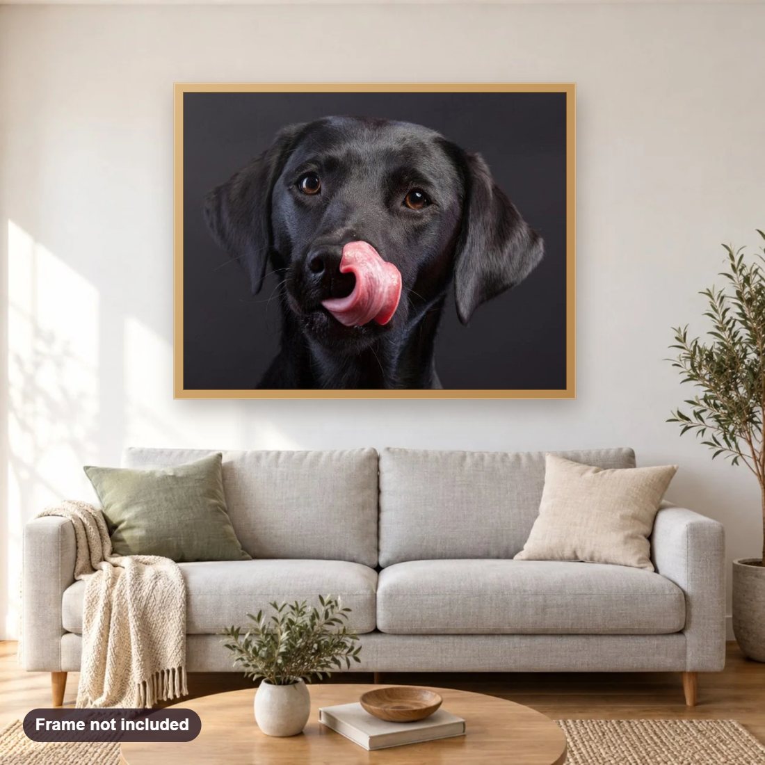 Amazing Black Labrador Retriever diamond painting shown framed on a living room wall above a sofa