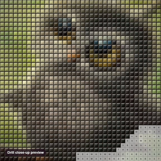 Close-up preview of the An Owl Starring Caterpillar diamond painting with square 5D drills and printed canvas symbols