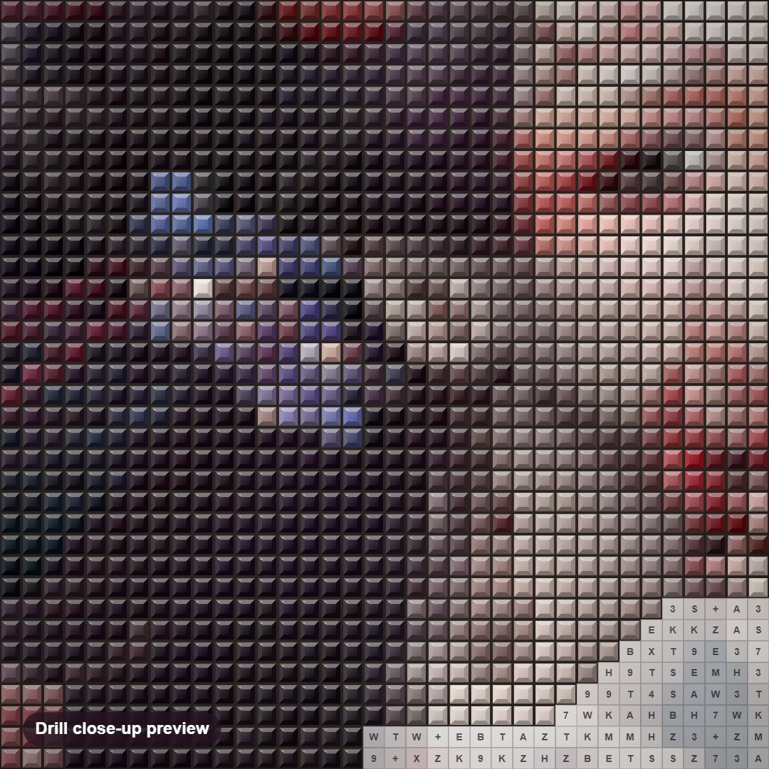 Close-up preview of the Asian Beauty diamond painting with square 5D drills and printed canvas symbols