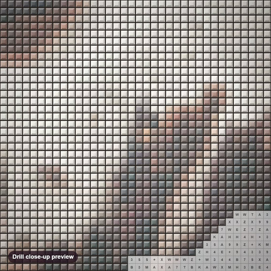 Close-up preview of the Australia's Great Sandy Desert diamond painting with square 5D drills and printed canvas symbols