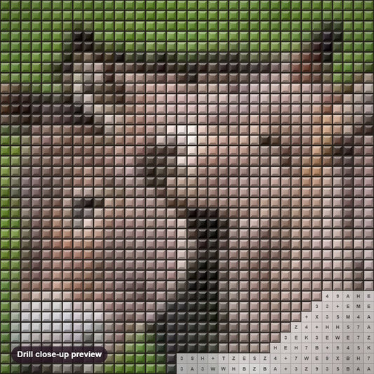 Close-up preview of the Baby Donkey with Mother diamond painting with square 5D drills and printed canvas symbols