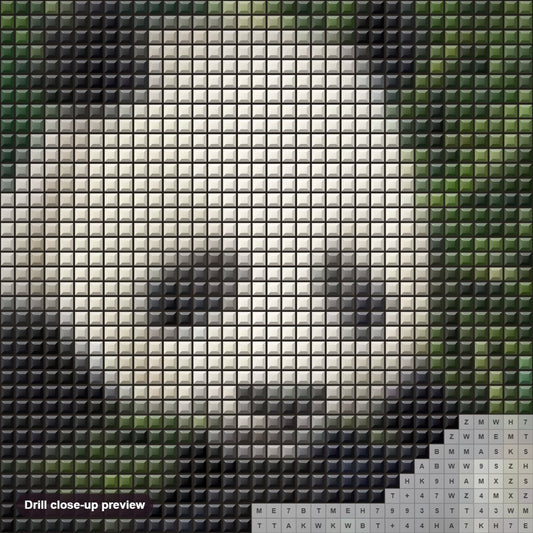 Close-up preview of the Baby Panda diamond painting with square 5D drills and printed canvas symbols