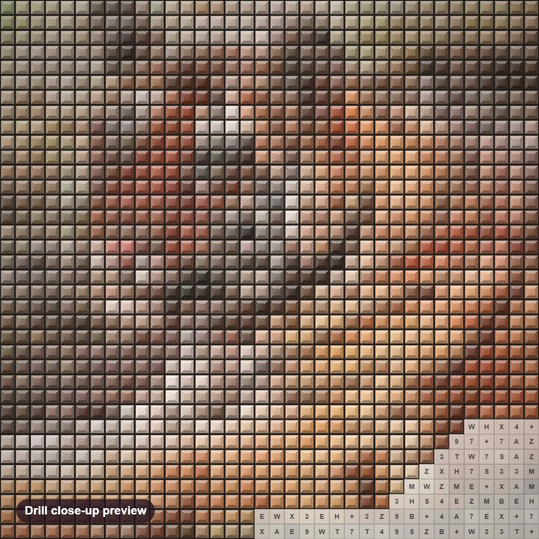 Close-up preview of the Bandhavgar Tiger diamond painting with square 5D drills and printed canvas symbols