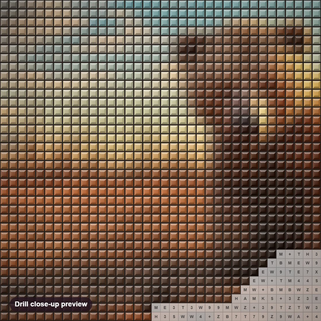 Close-up preview of the Bear in Desert diamond painting with square 5D drills and printed canvas symbols