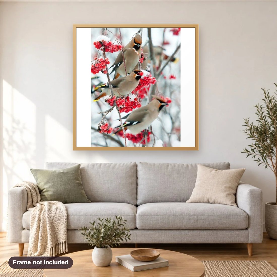 Beautiful Birds diamond painting shown framed on a living room wall above a sofa
