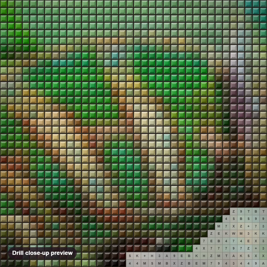 Close-up preview of the Beautiful Chameleon diamond painting with square 5D drills and printed canvas symbols