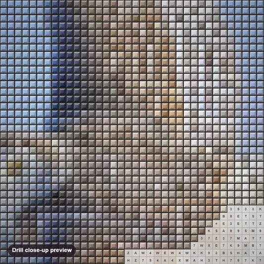 Close-up preview of the Beautiful Flying Snow Owl diamond painting with square 5D drills and printed canvas symbols