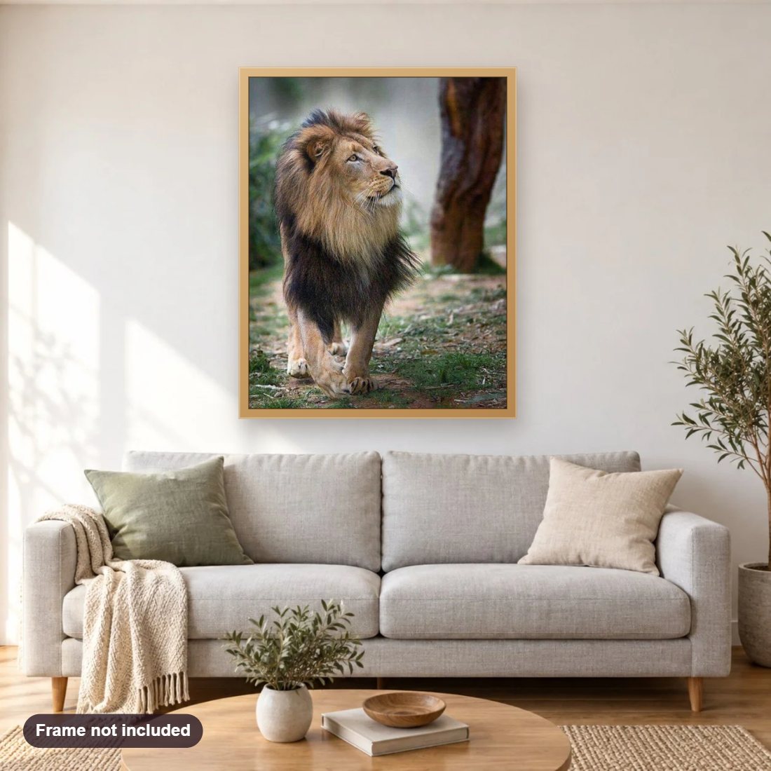 Beautiful Lion with Long Hair diamond painting shown framed on a living room wall above a sofa