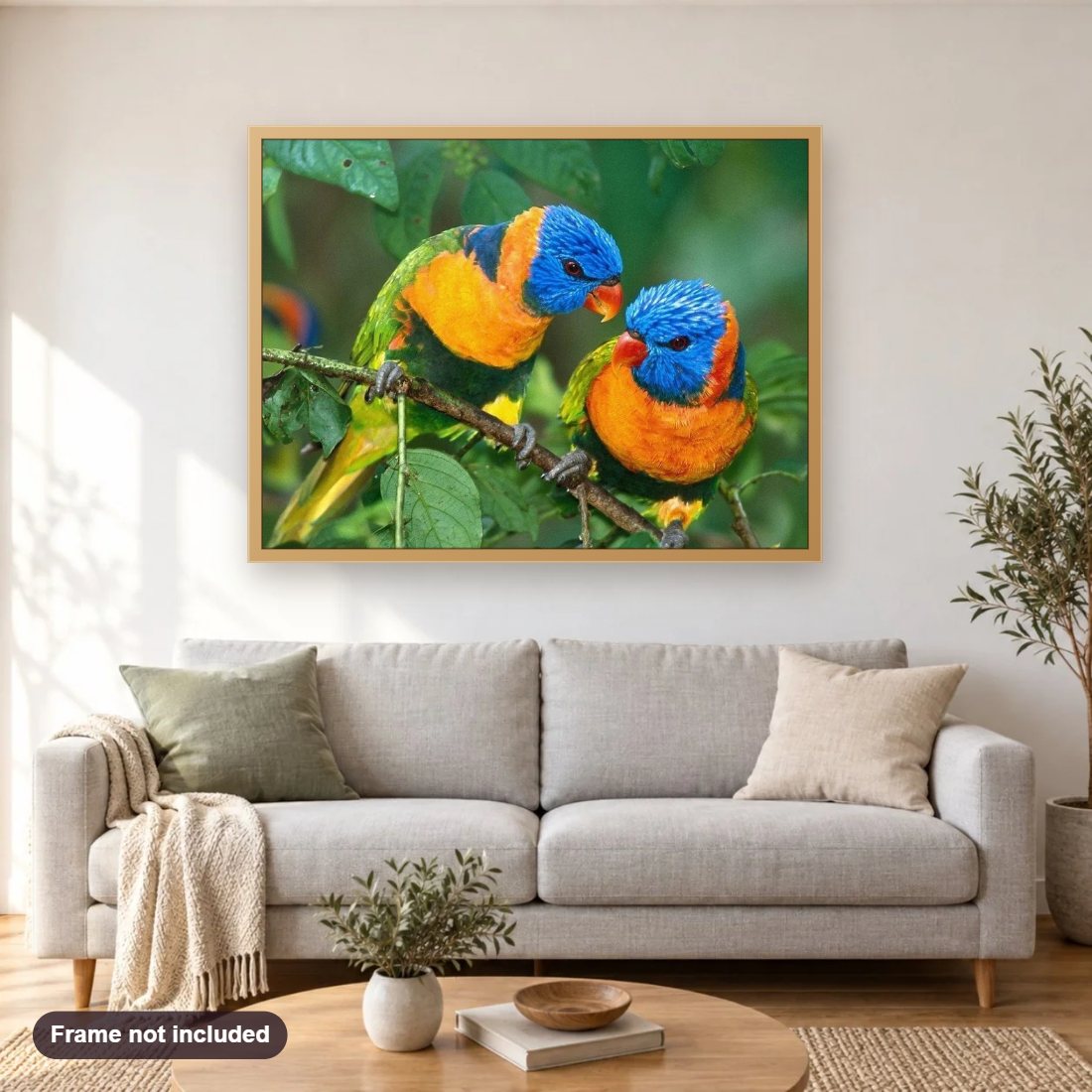 Beautiful Pair of Parrots diamond painting shown framed on a living room wall above a sofa