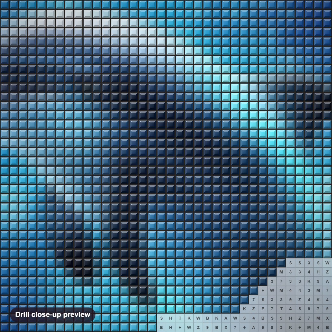 Close-up preview of the Beauty of a Graceful Dolphin diamond painting with square 5D drills and printed canvas symbols