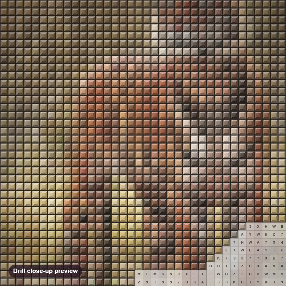 Close-up preview of the Bhoka Tiger diamond painting with square 5D drills and printed canvas symbols