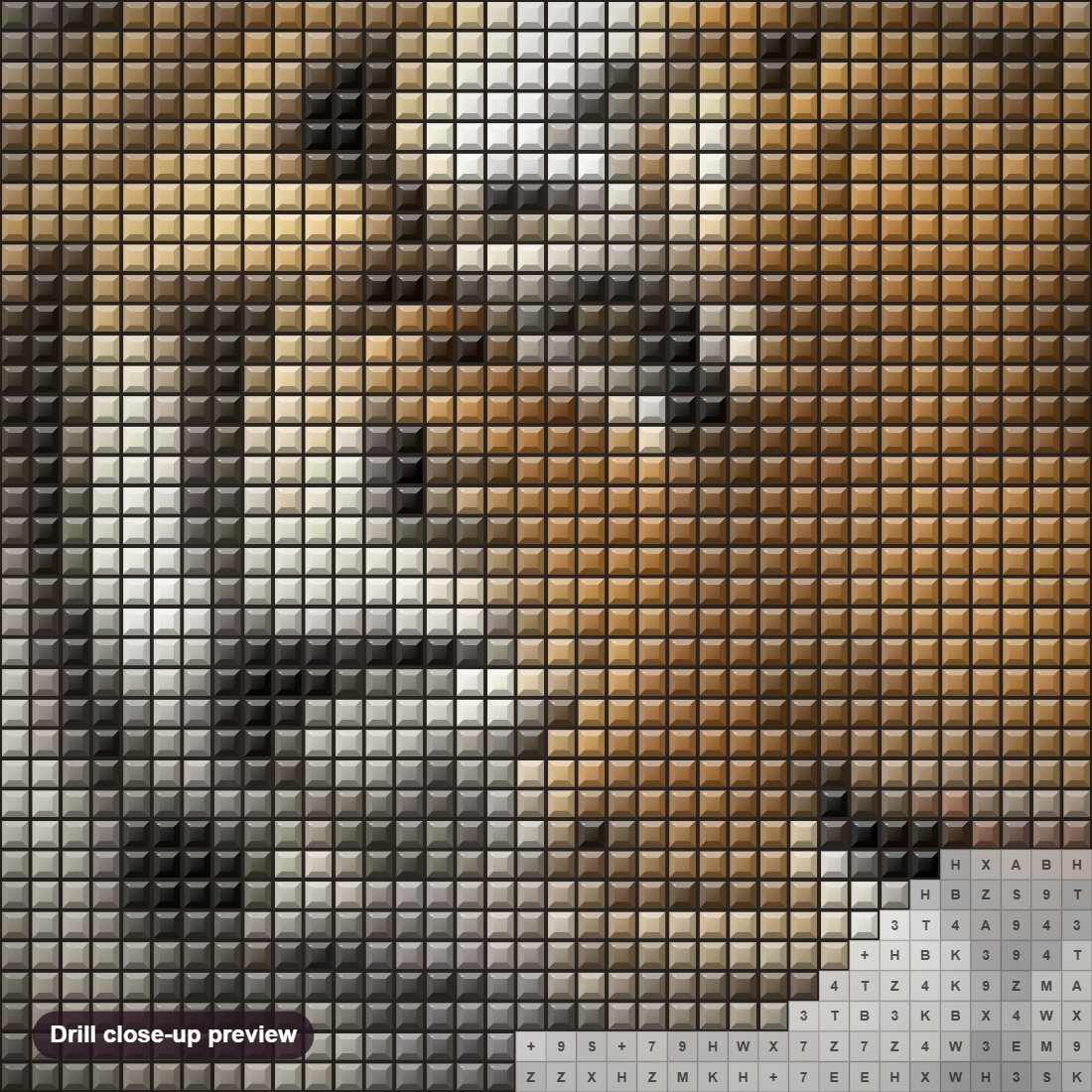 Close-up preview of the Big Cat diamond painting with square 5D drills and printed canvas symbols