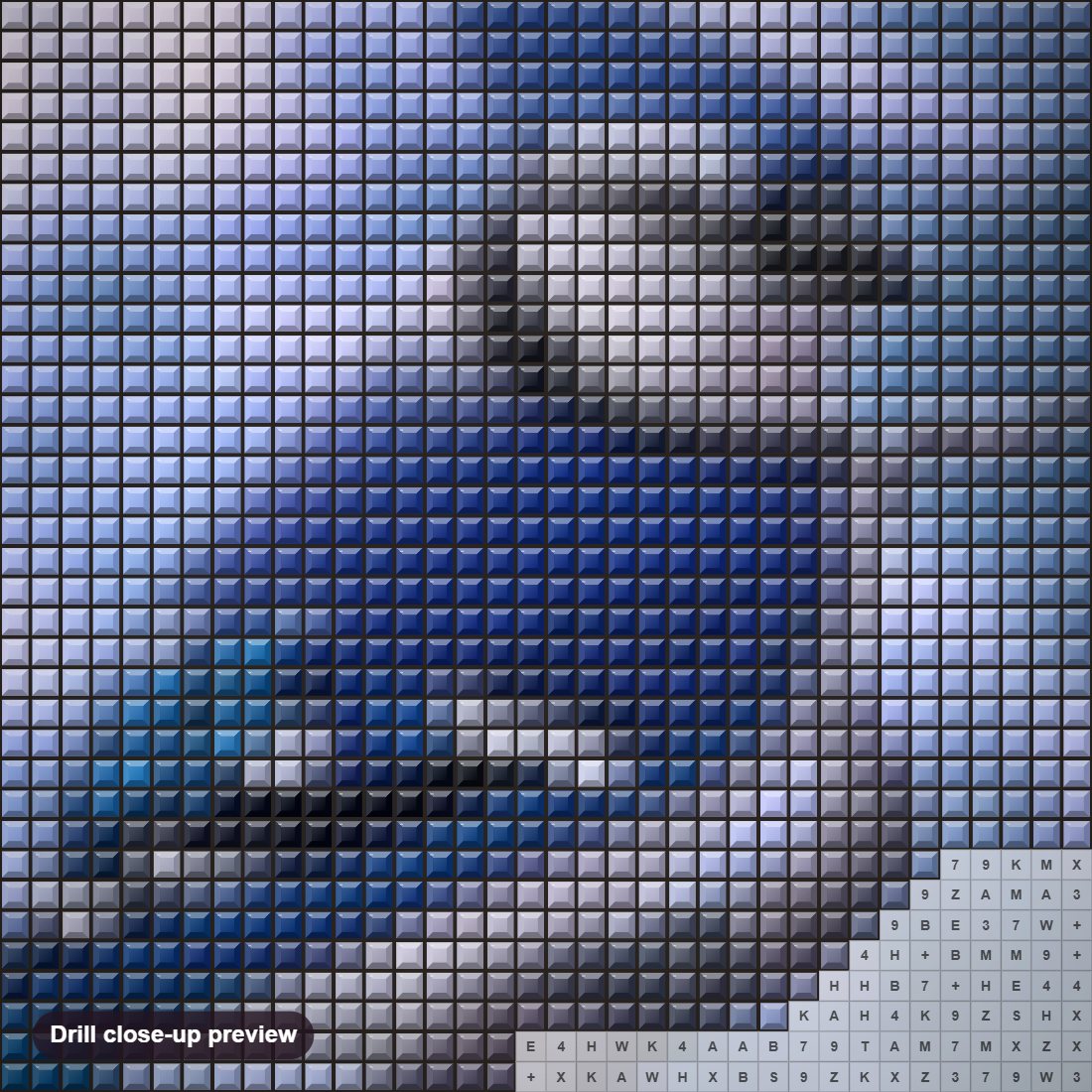 Close-up preview of the Bird In Snow diamond painting with square 5D drills and printed canvas symbols