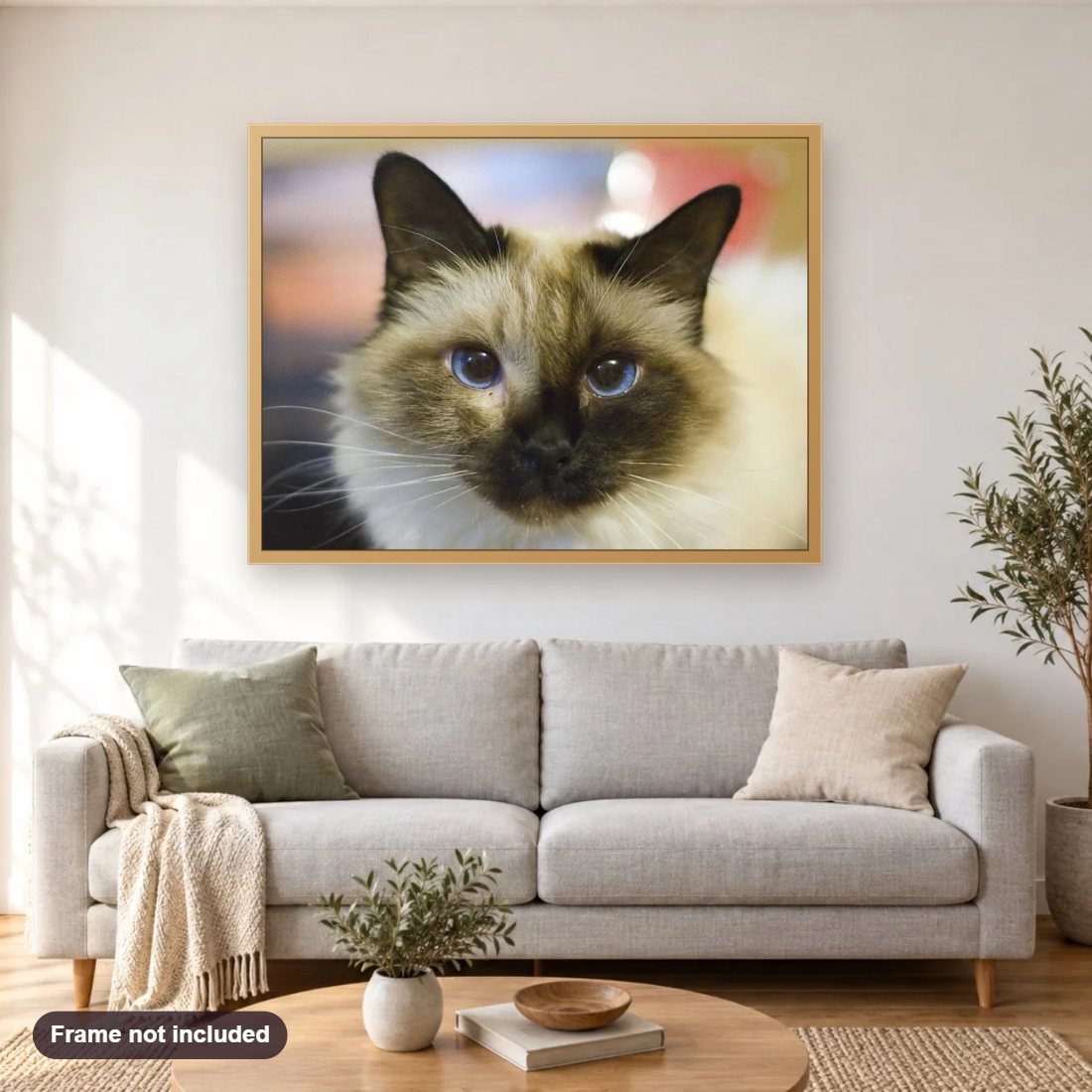Birman Cat diamond painting shown framed on a living room wall above a sofa