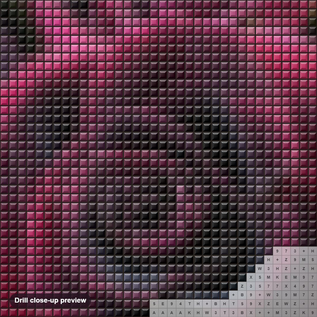 Close-up preview of the Black Beauty Rose diamond painting with square 5D drills and printed canvas symbols