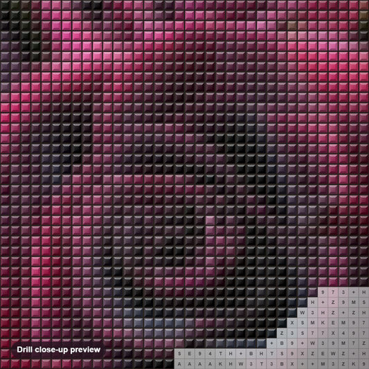 Close-up preview of the Black Beauty Rose diamond painting with square 5D drills and printed canvas symbols