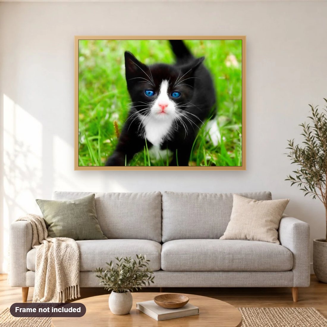 Black Kitten with Blue Eyes diamond painting shown framed on a living room wall above a sofa