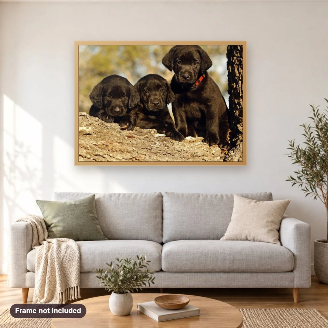 Black Labrador Retriever Puppies diamond painting shown framed on a living room wall above a sofa