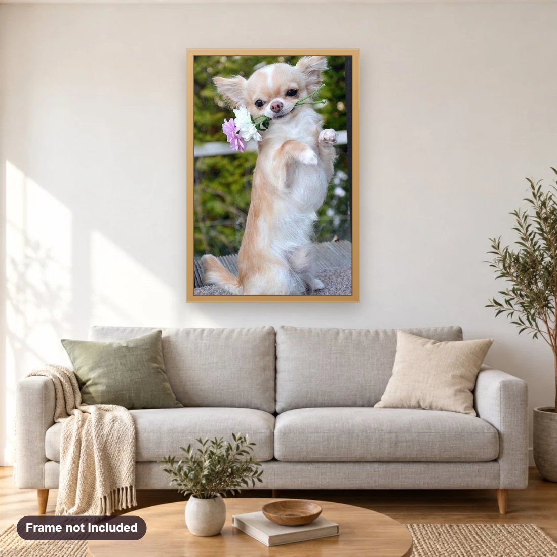 Blonde Long Hair Chihuahua diamond painting shown framed on a living room wall above a sofa