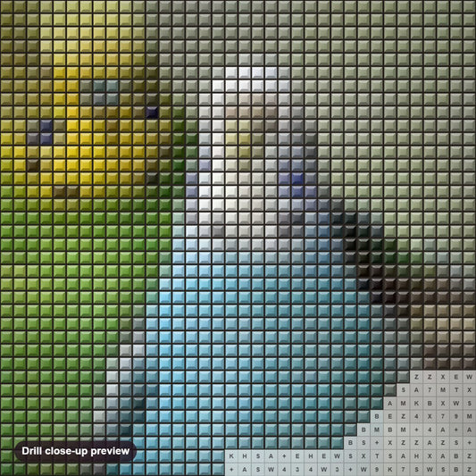 Close-up preview of the Blue & Green Australian Parrots diamond painting with square 5D drills and printed canvas symbols