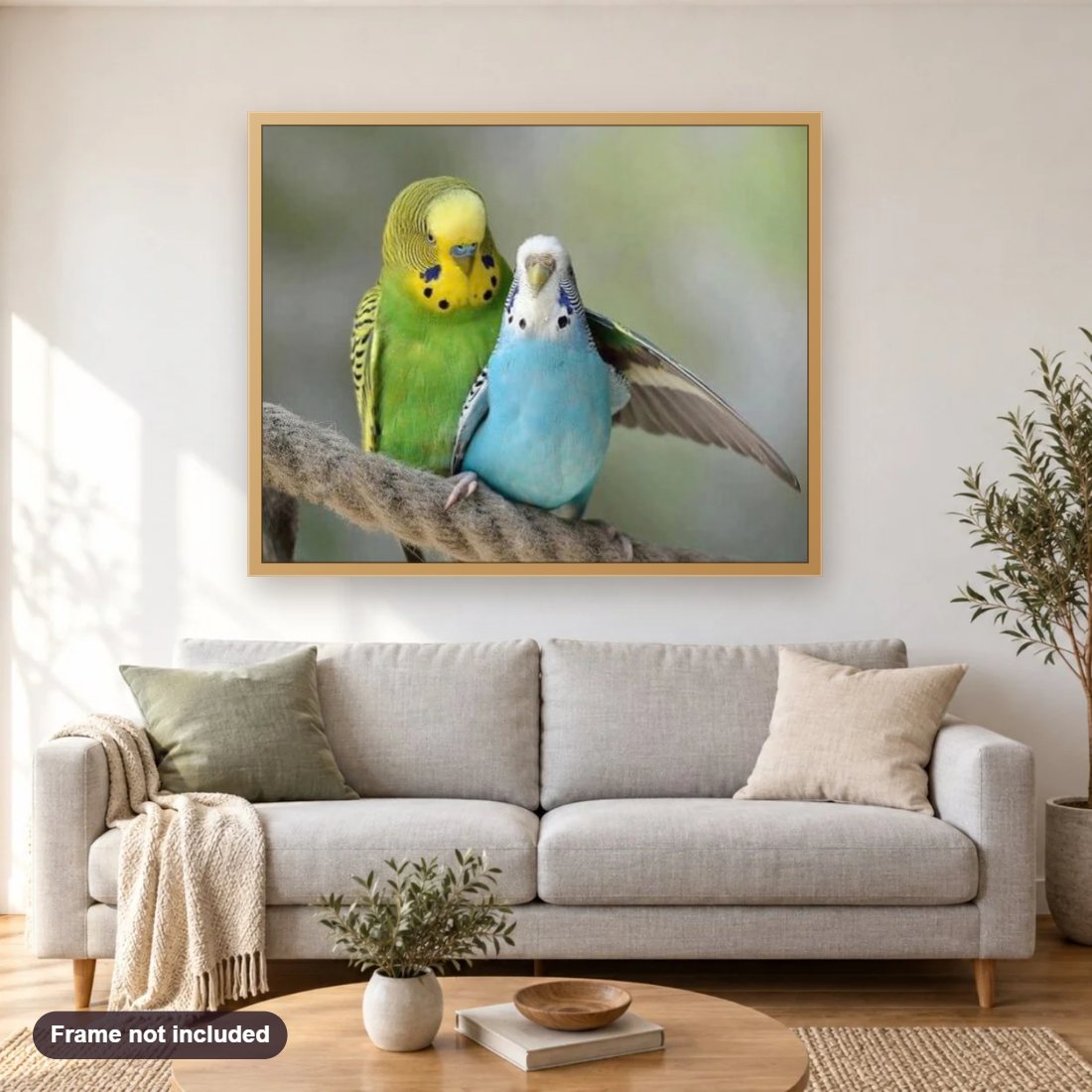 Blue & Green Australian Parrots diamond painting shown framed on a living room wall above a sofa