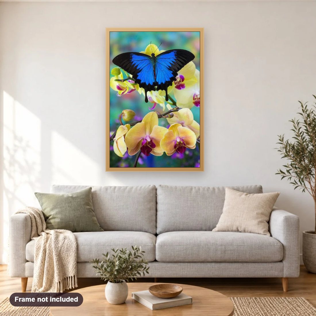 Blue Mountain Swallowtail Butterfly diamond painting shown framed on a living room wall above a sofa