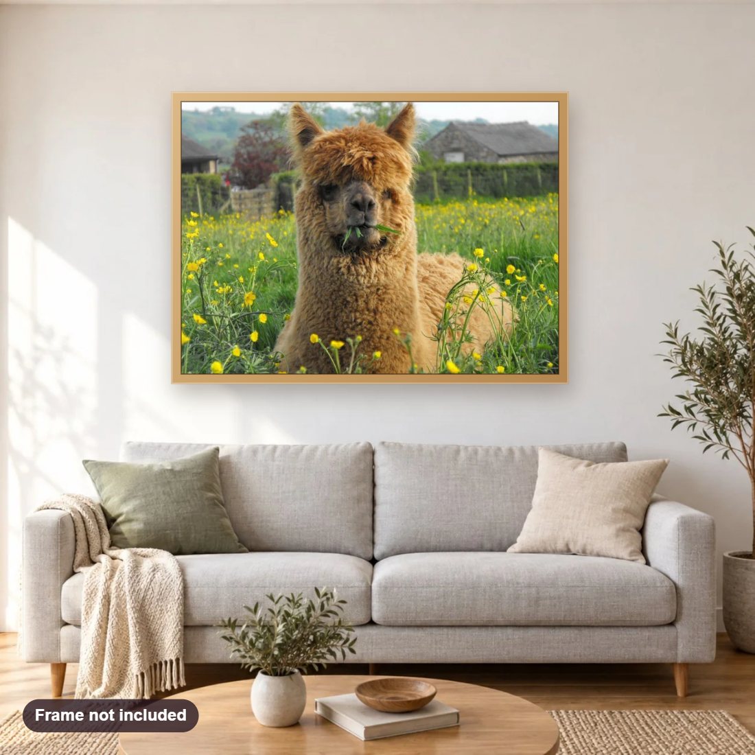 Brown Llama Sitting in the Fields diamond painting shown framed on a living room wall above a sofa
