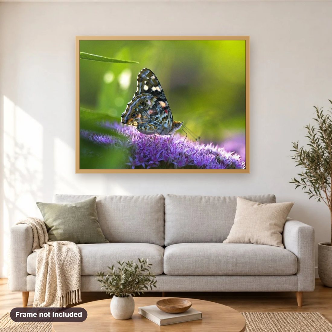 Butterfly Close up diamond painting shown framed on a living room wall above a sofa