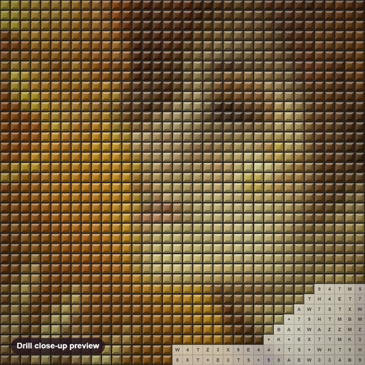 Close-up preview of the Butterfly Girl diamond painting with square 5D drills and printed canvas symbols