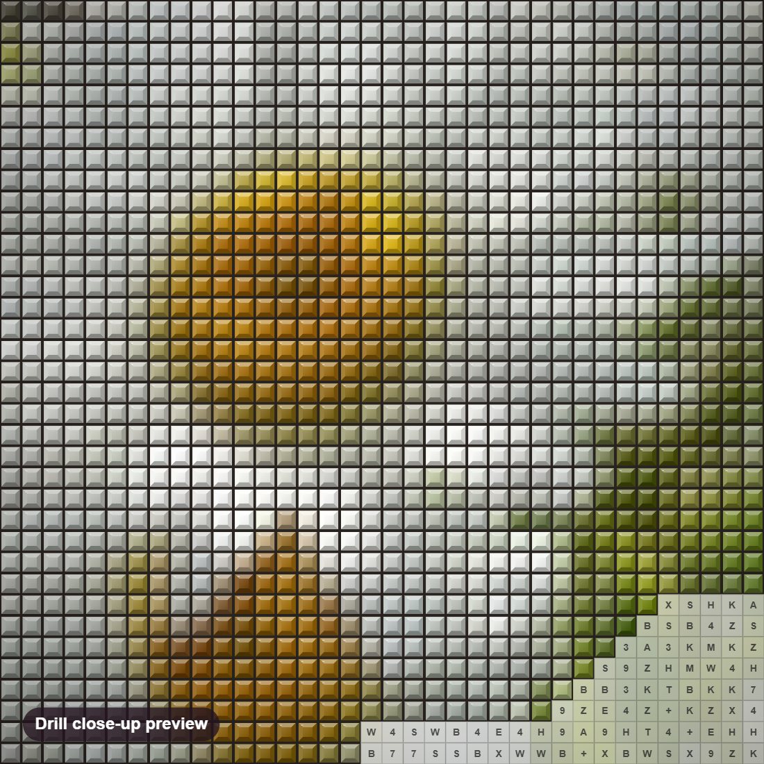 Close-up preview of the Chamomile Flowers diamond painting with square 5D drills and printed canvas symbols
