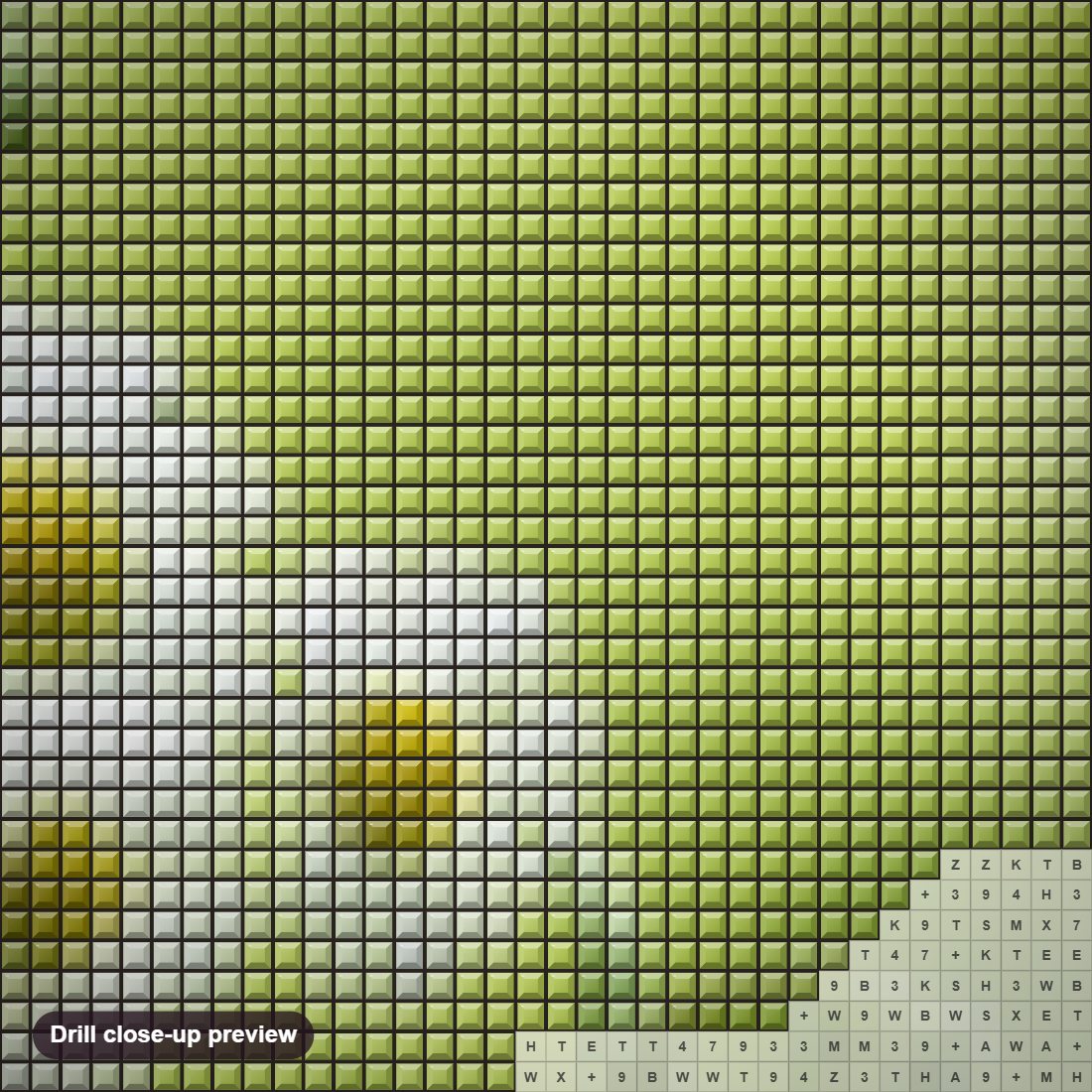 Close-up preview of the Chamomile diamond painting with square 5D drills and printed canvas symbols