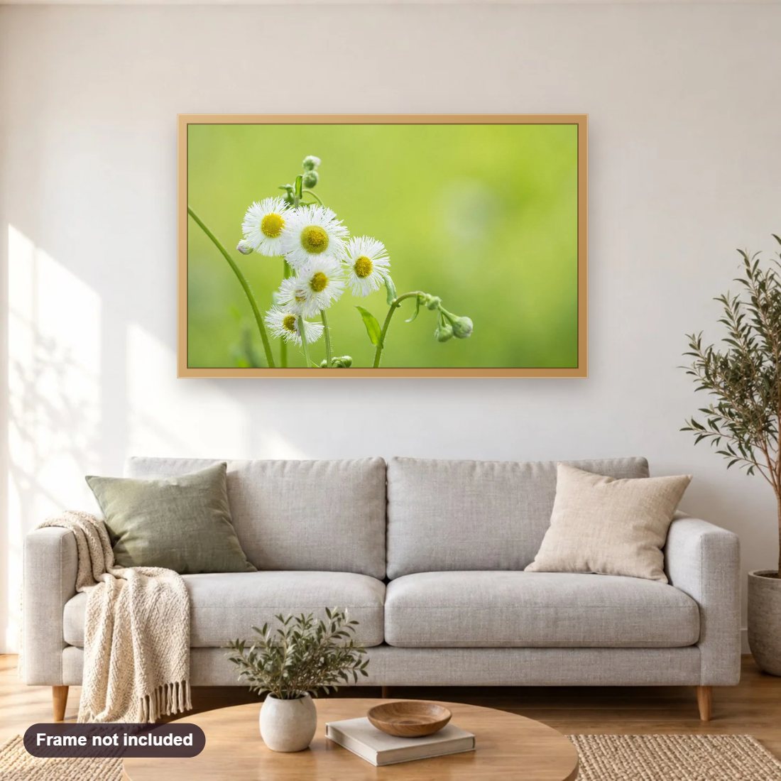 Chamomile diamond painting shown framed on a living room wall above a sofa