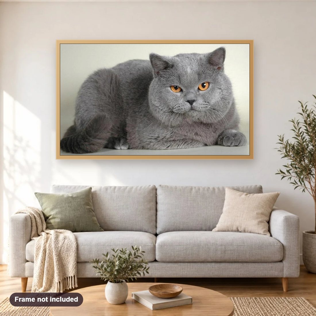 Chubby Cat diamond painting shown framed on a living room wall above a sofa