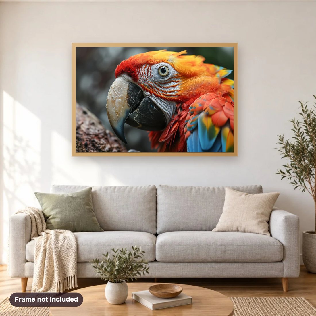 Close Up of Colorful Scarlet Macaw Parrot diamond painting shown framed on a living room wall above a sofa
