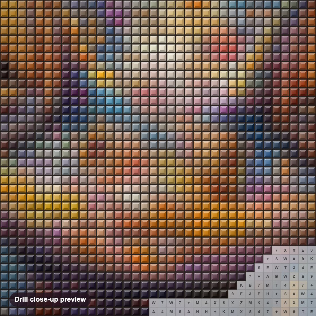 Close-up preview of the Close Up of  Lizard's Face diamond painting with square 5D drills and printed canvas symbols