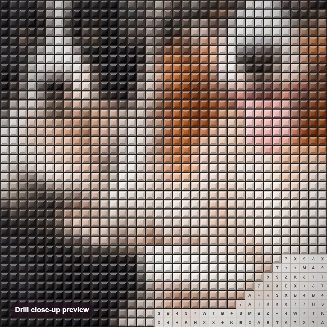 Close-up preview of the Collie Dogs Pair diamond painting with square 5D drills and printed canvas symbols