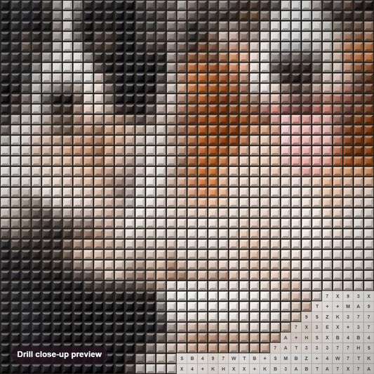 Close-up preview of the Collie Dogs Pair diamond painting with square 5D drills and printed canvas symbols