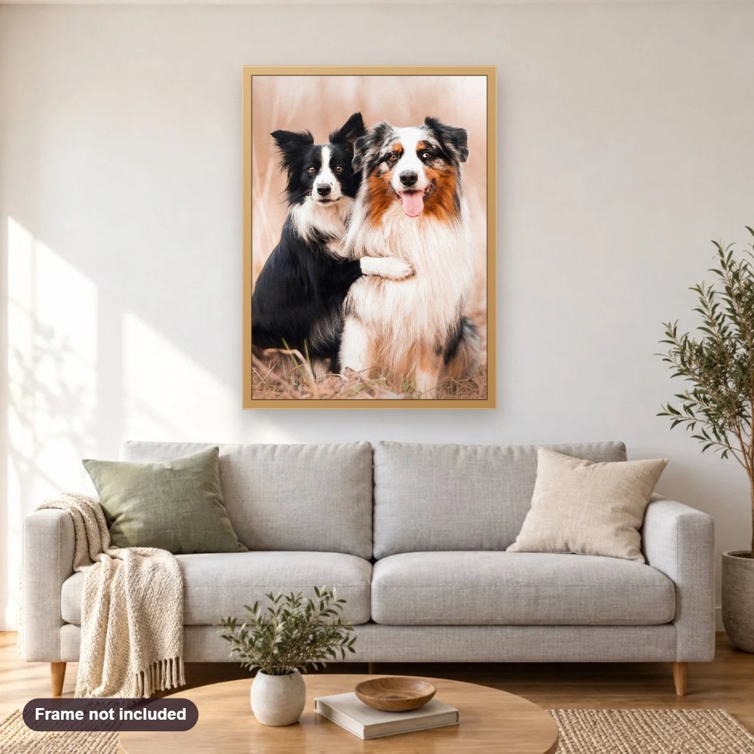 Collie Dogs Pair diamond painting shown framed on a living room wall above a sofa