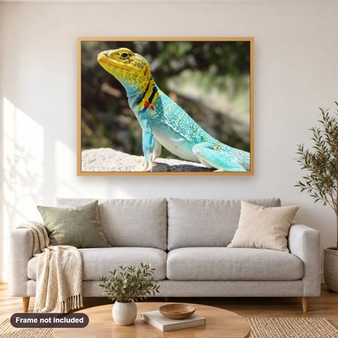 Colorful Lizard diamond painting shown framed on a living room wall above a sofa